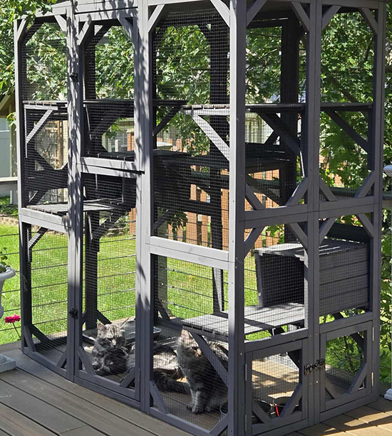 outdoor-catio Outdoor Catio