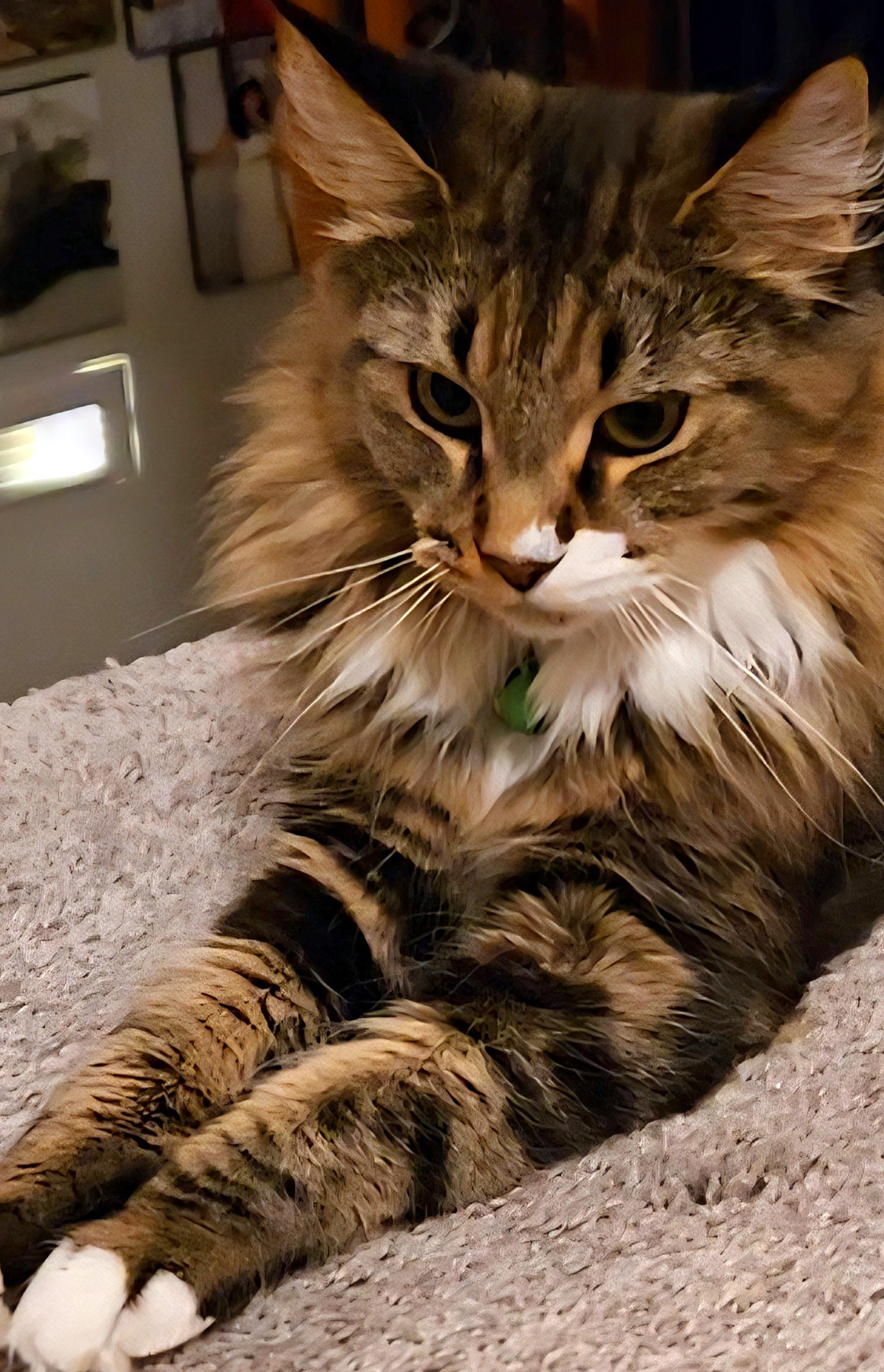 Rosie 4